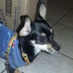 Ciindy