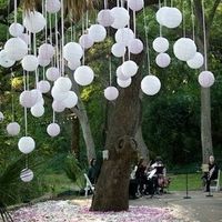 Globos en el arbol