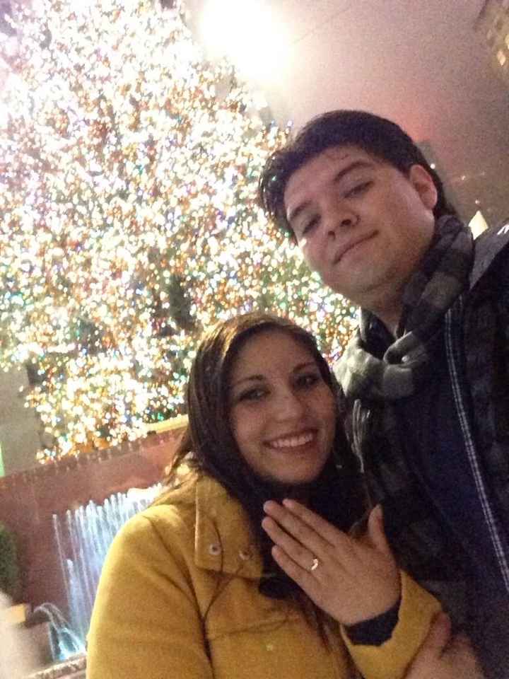 Cómo te pidió matrimonio? - 1