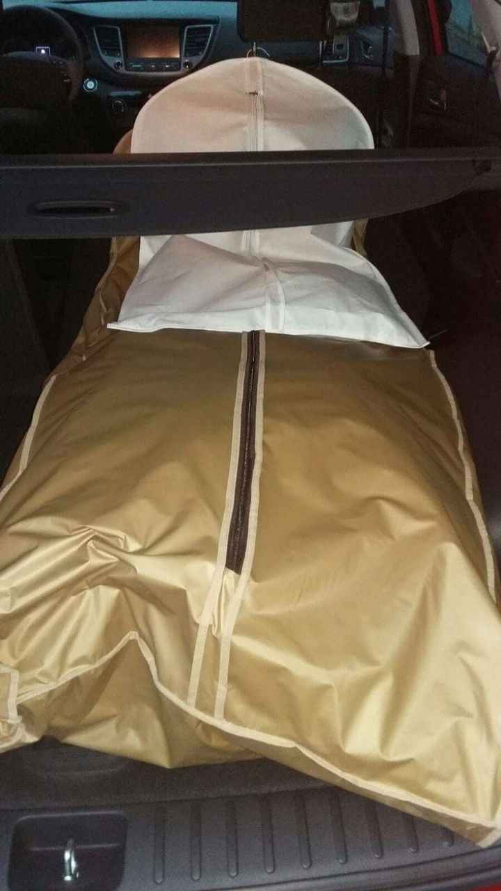 Esta es la imagen que me envió mi hermano