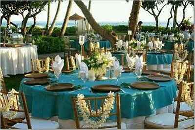 Estos dos colores comtbinarían en  mi boda - 3