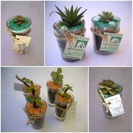 RECUERDOS ECOLÓGICOS