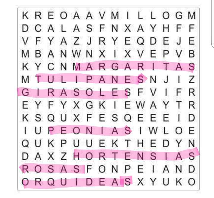 Sopa de letras: Flores para ramos 💐 - 1