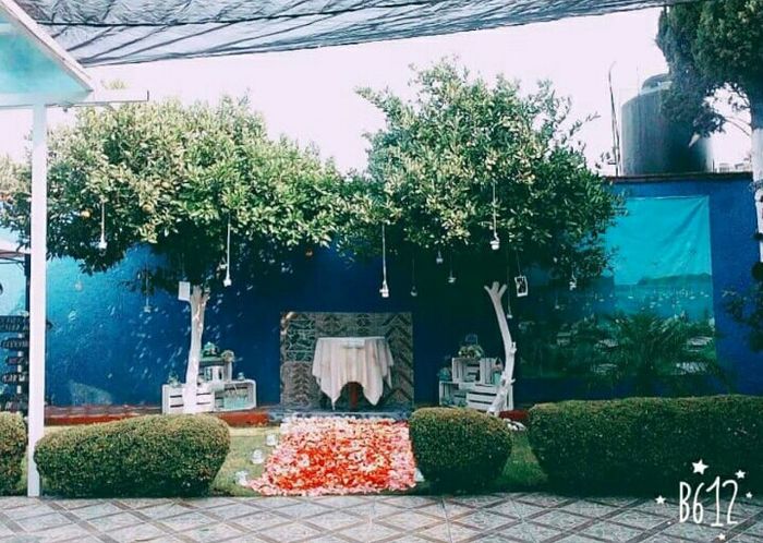 Boda en casa - 1