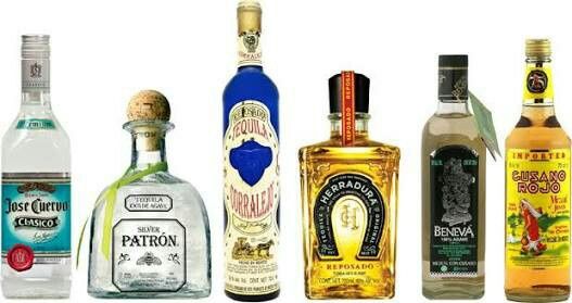 Tequila, ¿de cuál? 3