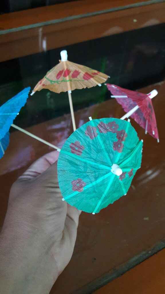 Compras para bebidas Bridal shower Tropical 🍉🌿 - 9