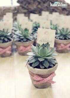 Novias diy manifiestense! - 1