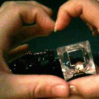 Ideas para fotos con anillo de compromiso!! - 1