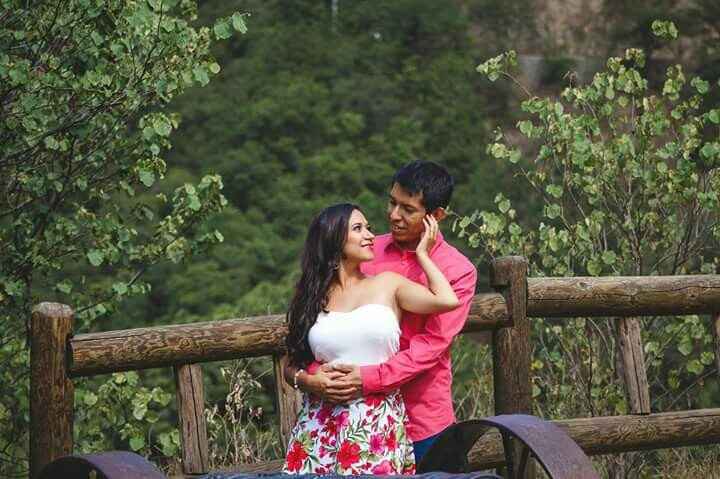 Mi pedida de mano - 1