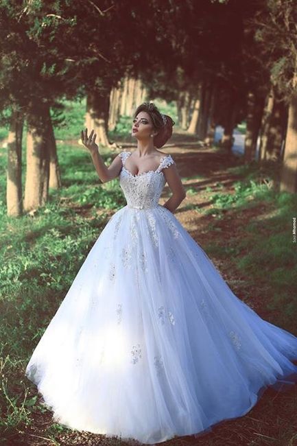 Soy una novia princesa blanca - 1
