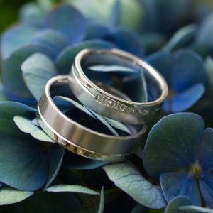 ¿la rosa o el cactus? - 1