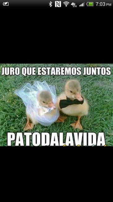 Imagenes dedicables - 1