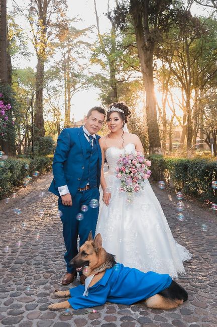 Comparte la foto favorita de tu boda - 1