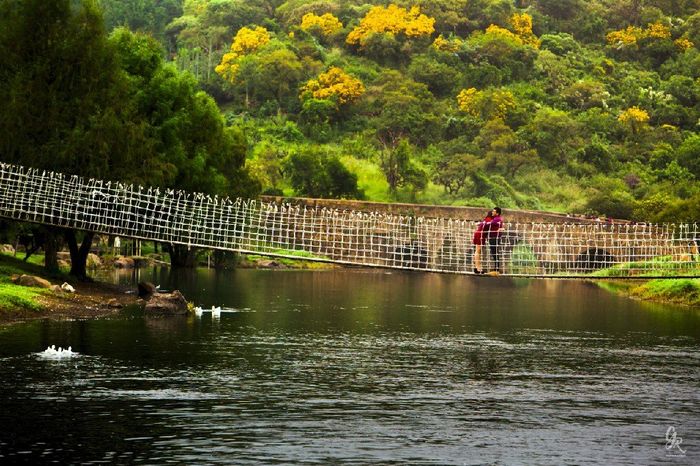 Sesión de fotos - 2