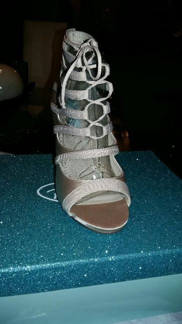 Zapatillas para el gran dia.. listos!!! - 2