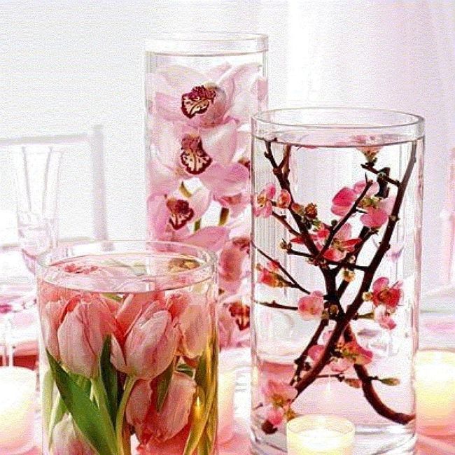 Quiero saber que tipo de flores son estas