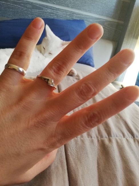 Simón dice....muéstrame tu anillo de compromiso💍 2