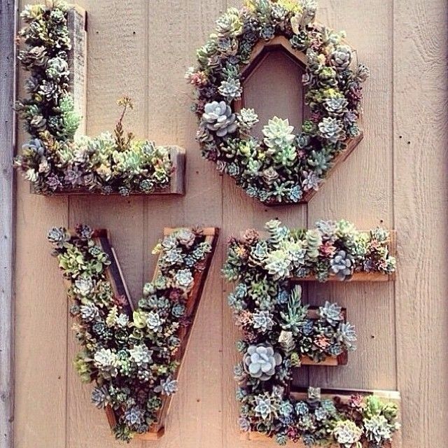 Wedding theme-suculentas 56