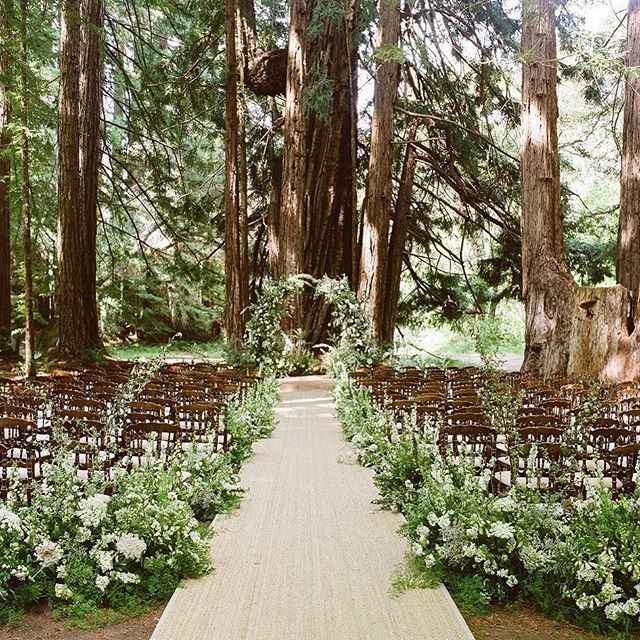Boda en el bosque - 7