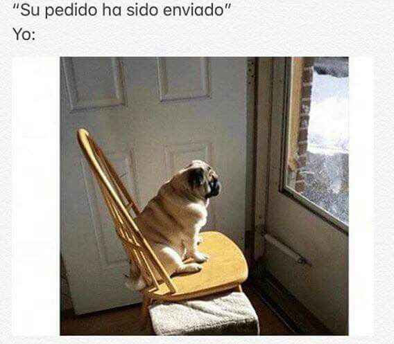  Espero y sigo esperando... - 1