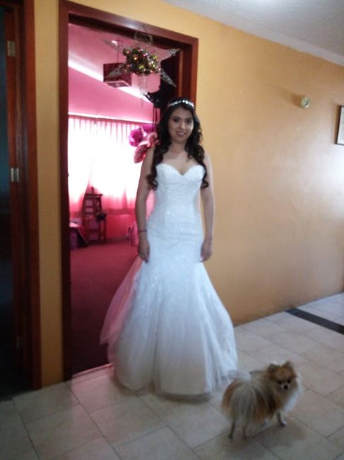 este 25 de mayo cumplo un año de casada 