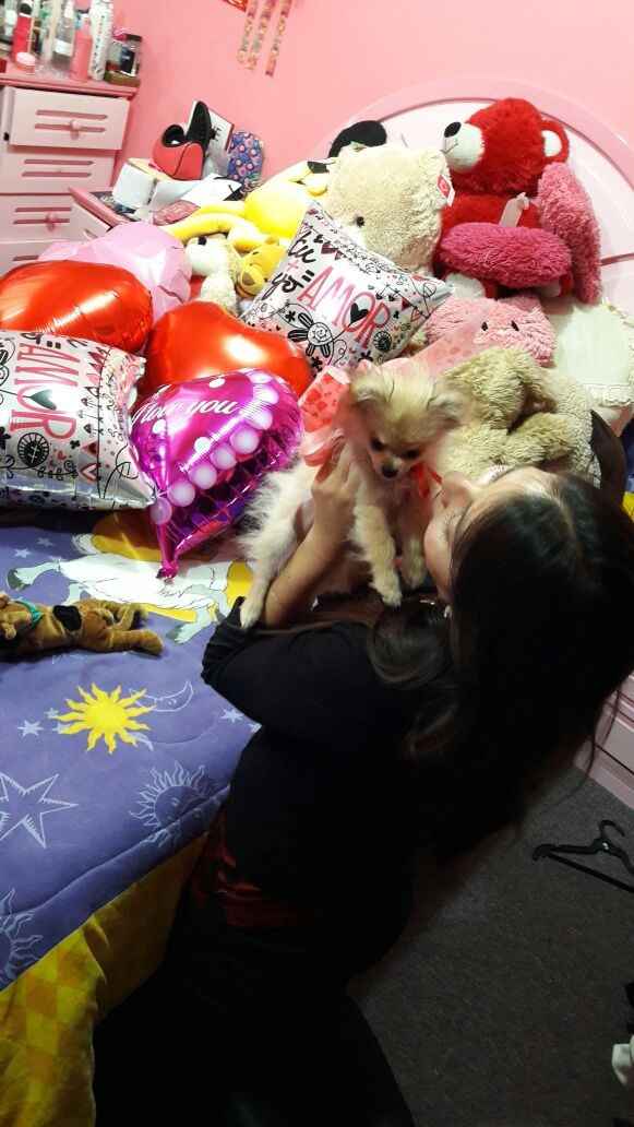 Regalo de cumpleaños 