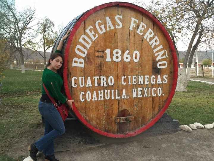 Visita a casas vinícolas