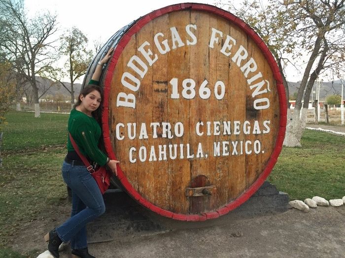 Visita a casas vinícolas