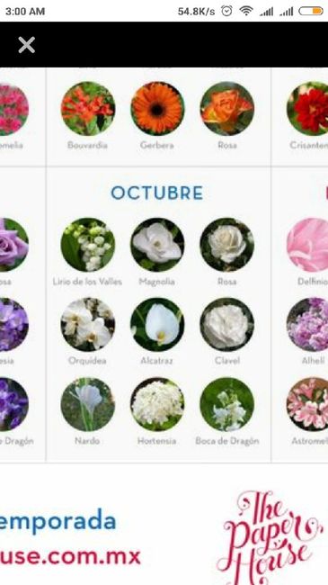 Club de novias de Octubre 2018 👰 - 4