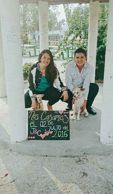 Nececito ideas de foto con mi mascota. - 1