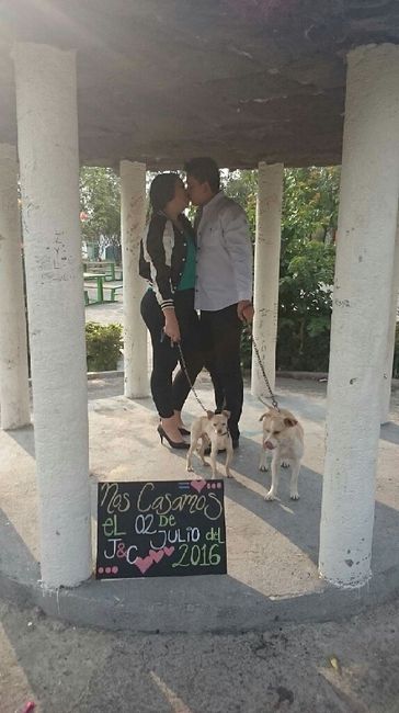 Sesión de fotos con tus mascotas! - 3