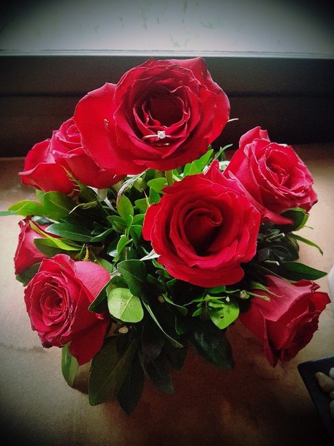 Me dio el anillo - 1