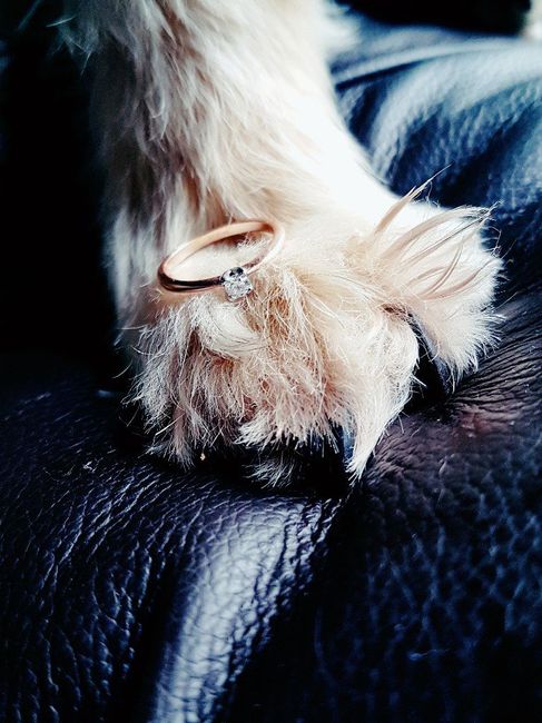 a presumir su anillo 💍 - 1