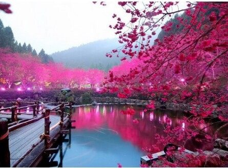 Gloriaromero.. mi mochila me lleva a europa! - 11