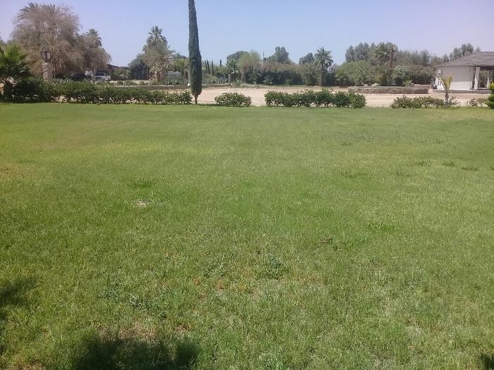 Reservacion de jardin y suegraaaa!! - 4