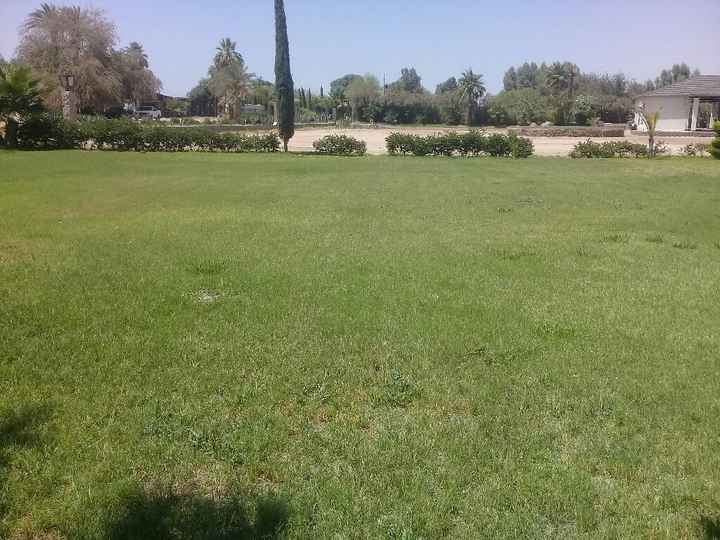 Reservacion de jardin y suegraaaa!! - 4
