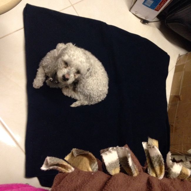 Invitaciones del civil... primer avance - 3