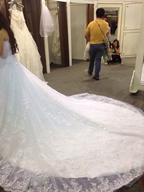 Los tipos de caudas - 1