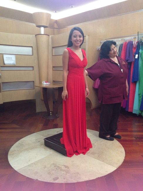Los vestidos de mis damas - 2