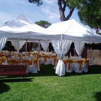 OTRO ESTILO DE CARPA
