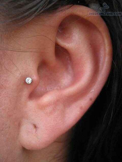 Tienen algun piercing? - 2