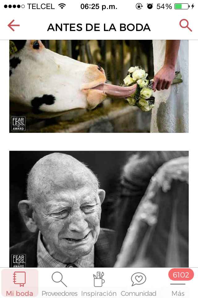  Hermosas, divertidas y conmovedoras fotos ❤ - 1