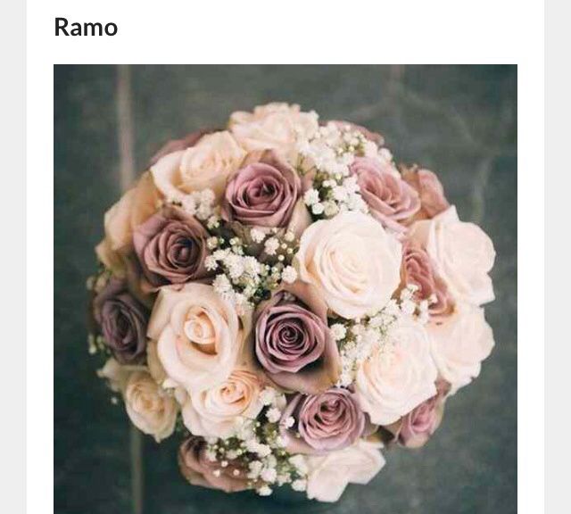  Ramos tendencias 2017 - 1