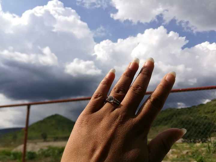 Mi anillo en la Naturaleza citadina - 1