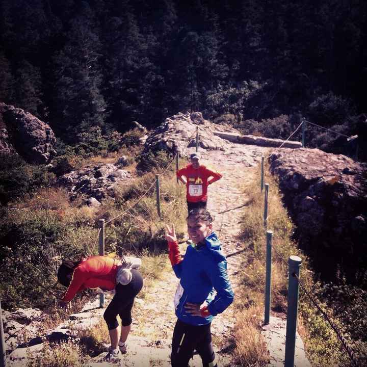 Cuantas brides van al gym?? - 1