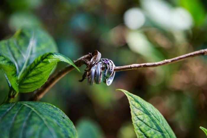 Fotos previas y Boda Civil 😍💜😍💜😍💜 - 1