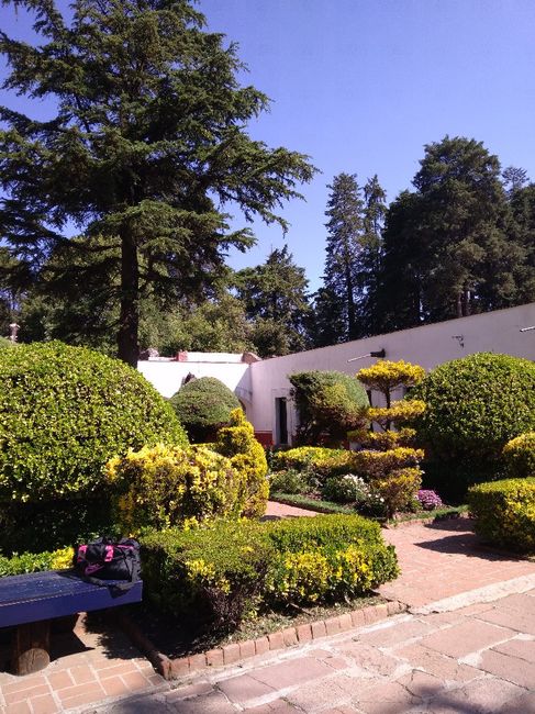 Fotos previas y Boda Civil 😍💜😍💜😍💜 - 2