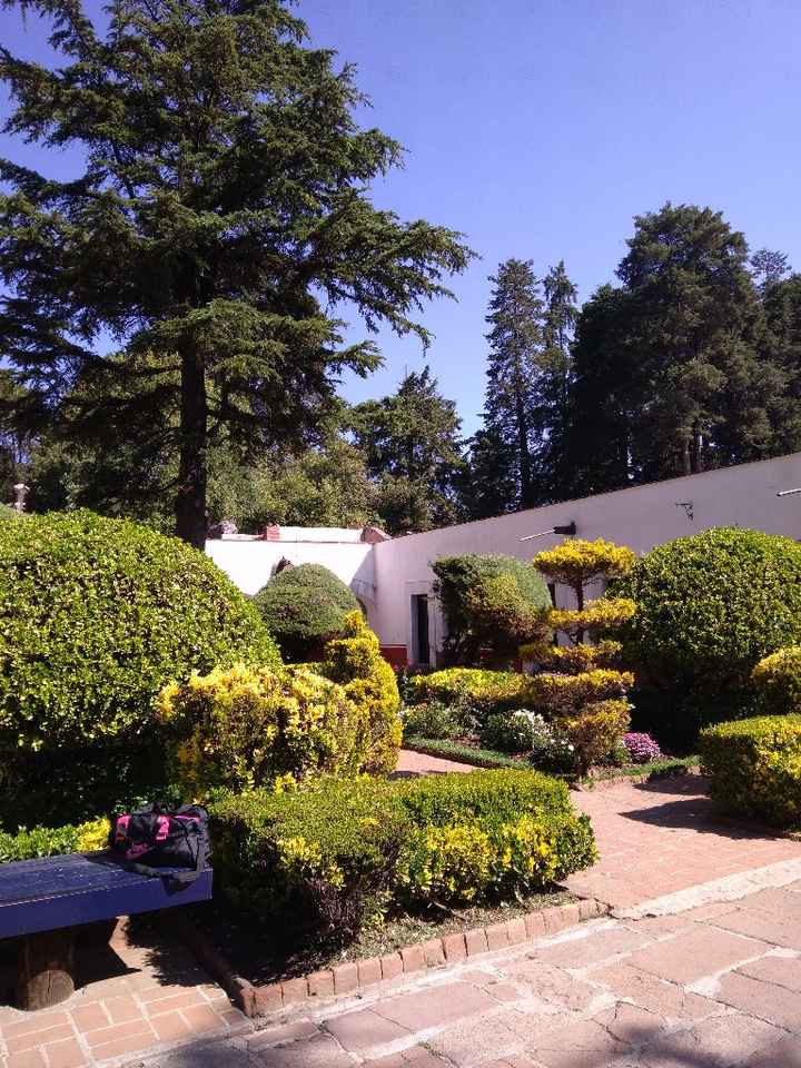 Fotos previas y Boda Civil 😍💜😍💜😍💜 - 2