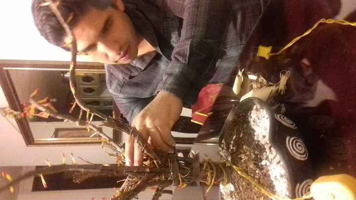 Decoración arbol de los deseos - 3