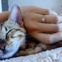 Mi anillo en la facultad🤭 - 1